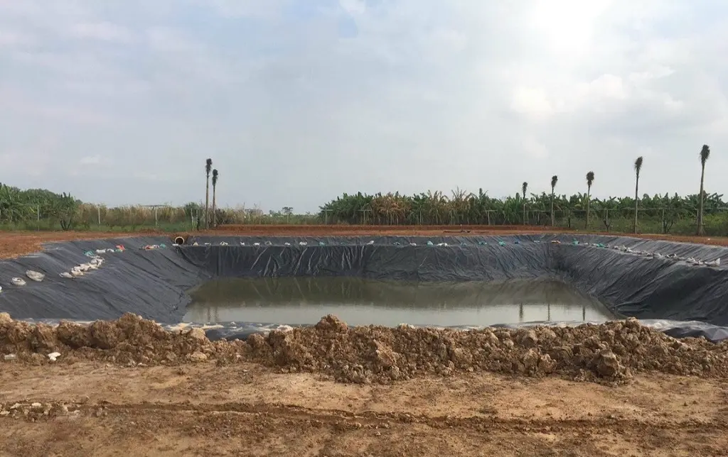 Màng HDPE - Bí Quyết Chống Thấm Cho Mọi Công Trình Màng HDPE - Bí Quyết Chống Thấm Cho Mọi Công Trình