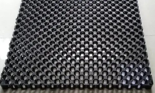 Vỉ Nhựa Thoát Nước Trồng Cây - Giải Pháp Xanh Mới Vỉ Nhựa Thoát Nước Trồng Cây - Giải Pháp Xanh Mới