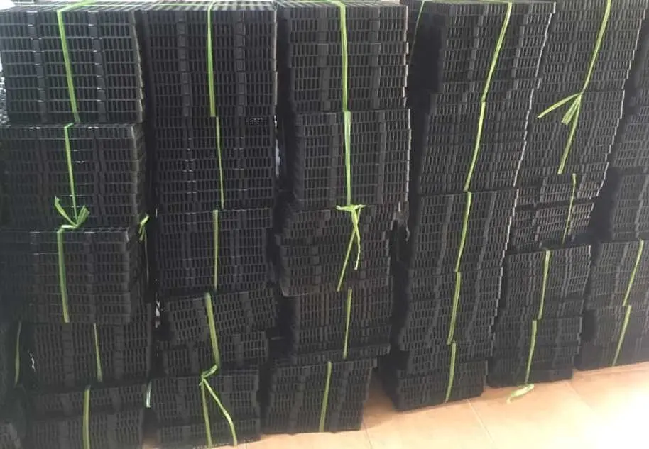 Vỉ Nhựa Thoát Nước Trồng Cây - Giải Pháp Xanh Mới Vỉ Nhựa Thoát Nước Trồng Cây - Giải Pháp Xanh Mới