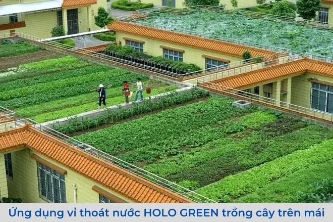 Giá Vỉ Nhựa Thoát Nước Trồng Cây - Bí Mật Ẩn Giấu Giá Vỉ Nhựa Thoát Nước Trồng Cây - Bí Mật Ẩn Giấu