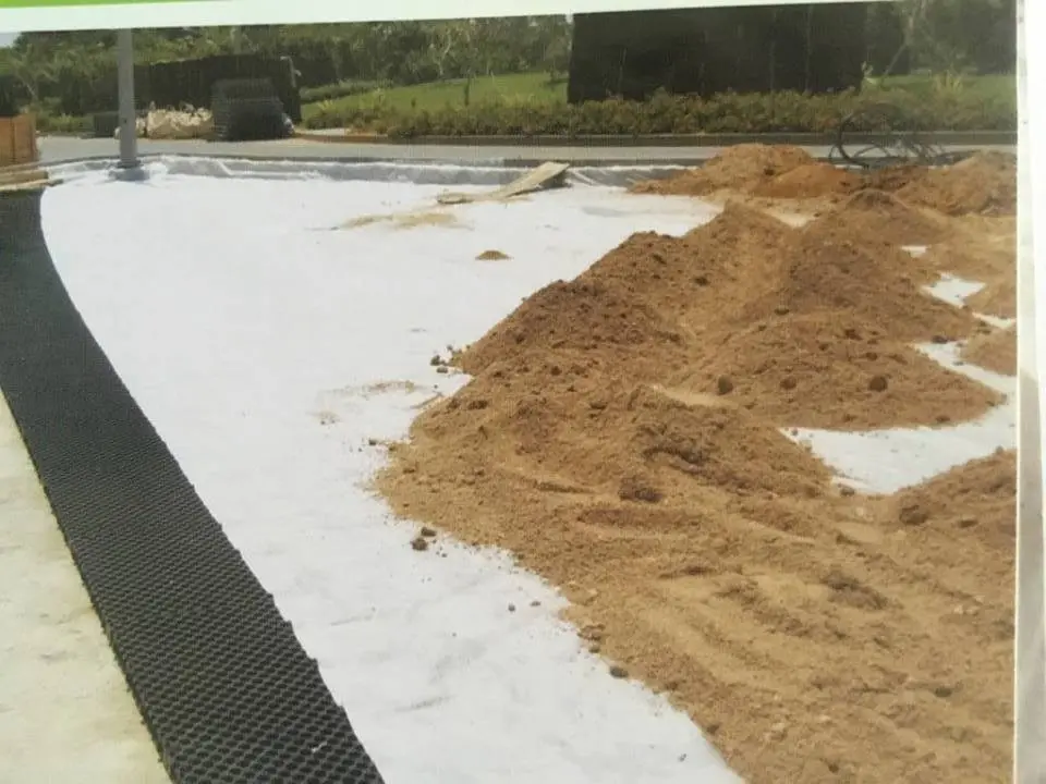 Giá Vỉ Nhựa Thoát Nước Trồng Cây - Bí Mật Ẩn Giấu Giá Vỉ Nhựa Thoát Nước Trồng Cây - Bí Mật Ẩn Giấu