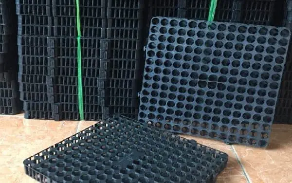 Báo Giá Vỉ Nhựa Thoát Nước - Giải Pháp Xanh Cho Mọi Nhà Báo Giá Vỉ Nhựa Thoát Nước - Giải Pháp Xanh Cho Mọi Nhà