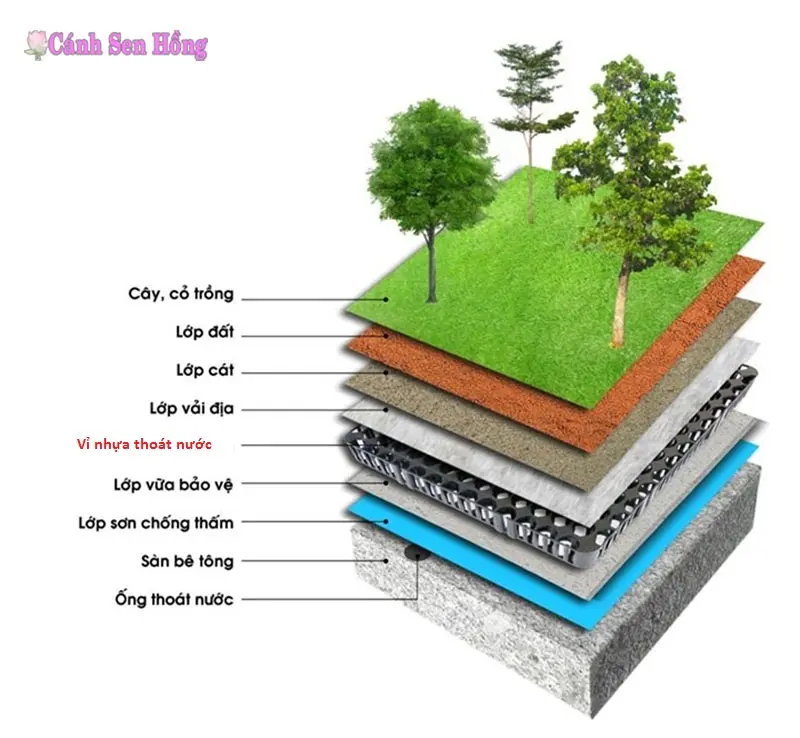 Vỉ Thoát Nước Sàn - Giải Pháp Hiện Đại Cho Không Gian Sống Xanh Vỉ Thoát Nước Sàn - Giải Pháp Hiện Đại Cho Không Gian Sống Xanh