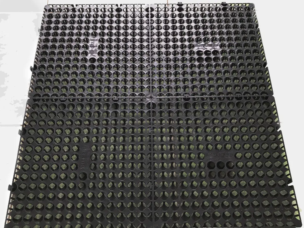 Vỉ Thoát Nước Plastic Cell – Giải Pháp Hiện Đại Cho Hạ Tầng Xanh Vỉ Thoát Nước Plastic Cell – Giải Pháp Hiện Đại Cho Hạ Tầng Xanh