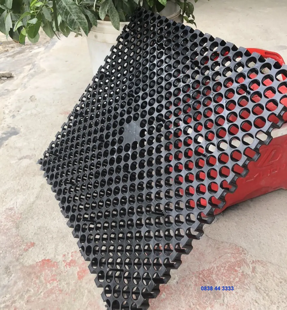 Báo Giá Vỉ Thoát Nước VersiCell - Giải Pháp Mới Báo Giá Vỉ Thoát Nước VersiCell - Giải Pháp Mới