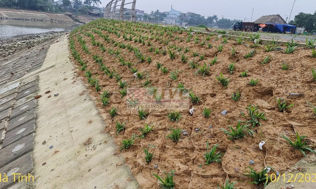 Báo Giá Neoweb - Giải Pháp Xây Dựng Tiên Phong Báo Giá Neoweb - Giải Pháp Xây Dựng Tiên Phong