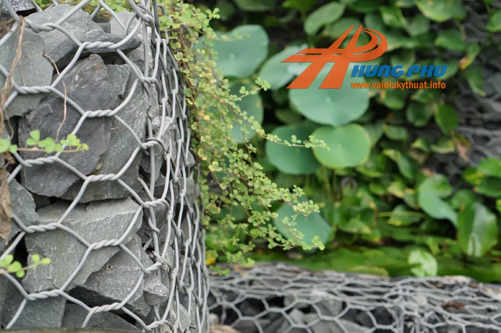Bán Vải Địa Trồng Cây - Giải Pháp Xanh Cho Mọi Nhà Bán Vải Địa Trồng Cây - Giải Pháp Xanh Cho Mọi Nhà