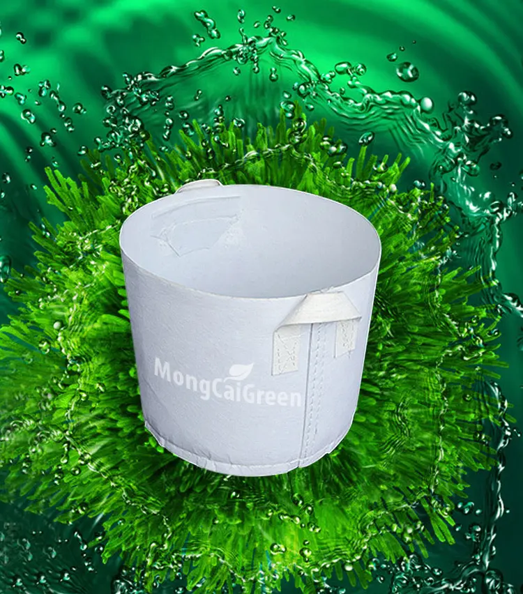 Bán Vải Địa Trồng Cây - Giải Pháp Xanh Cho Mọi Nhà Bán Vải Địa Trồng Cây - Giải Pháp Xanh Cho Mọi Nhà