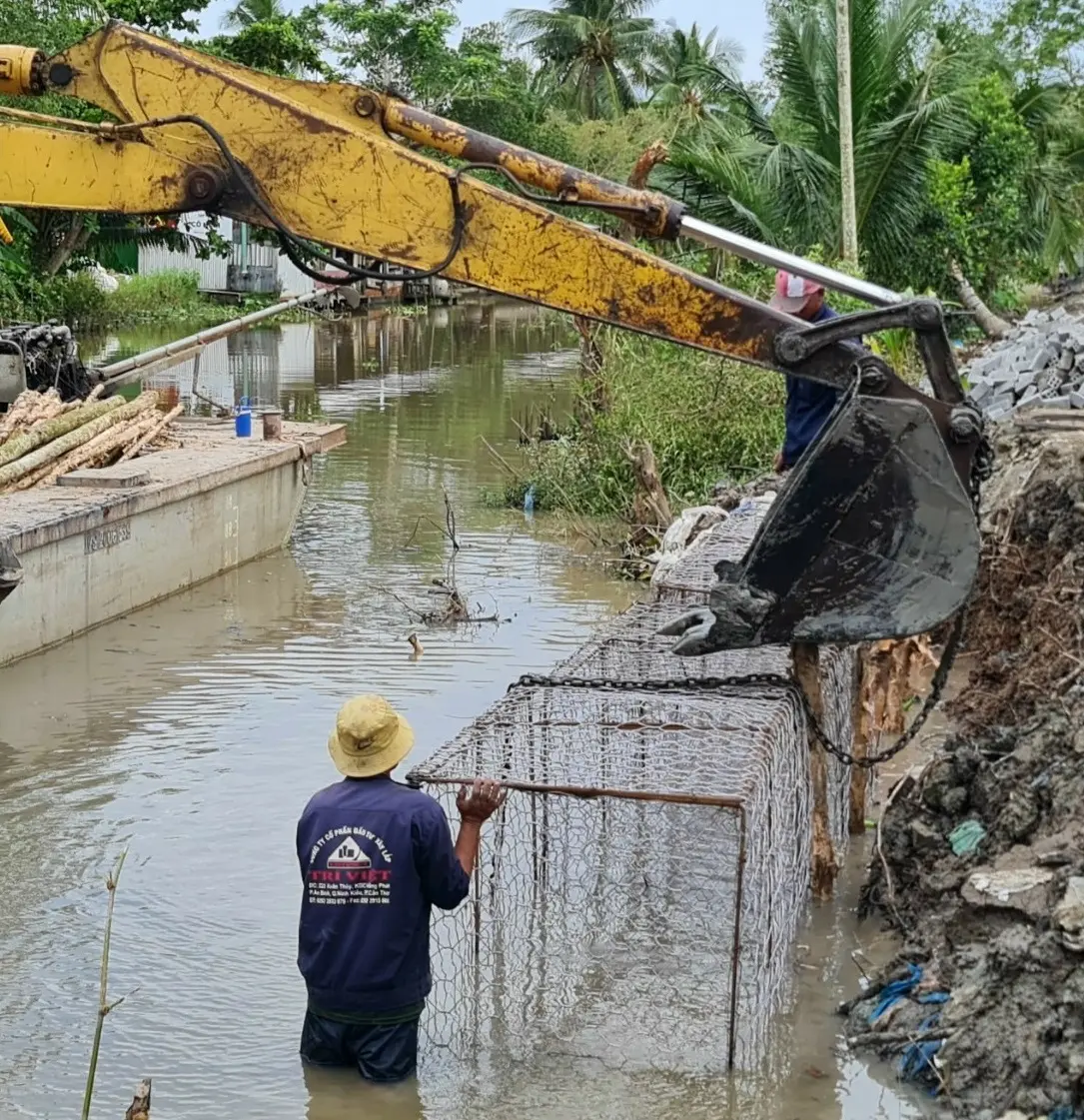 Bí Mật Biển Sâu - Kỹ Thuật Thả Rọ Đá Dưới Nước