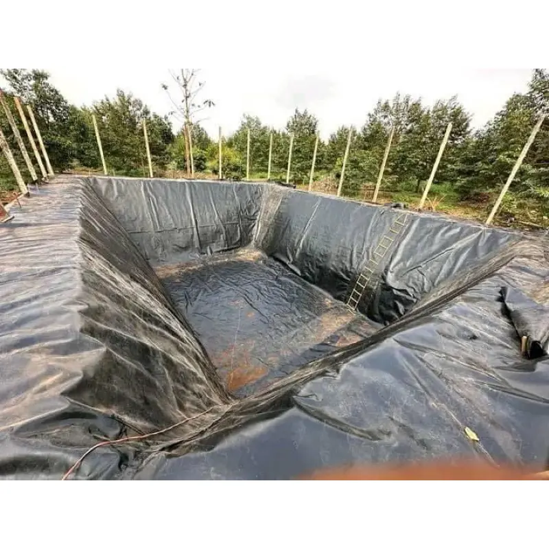 Kích thước bạt HDPE: Lựa chọn và ứng dụng hiệu quả trong xây dựng và nông nghiệp Bạt HDPE - Bí Mật Đằng Sau Những Kích Thước Tối Ưu