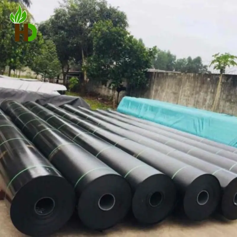 Giá Bạt HDPE 1mm - Bền Bỉ, Chống Thấm Vượt Trội Giá Bạt HDPE 1mm - Bền Bỉ, Chống Thấm Vượt Trội
