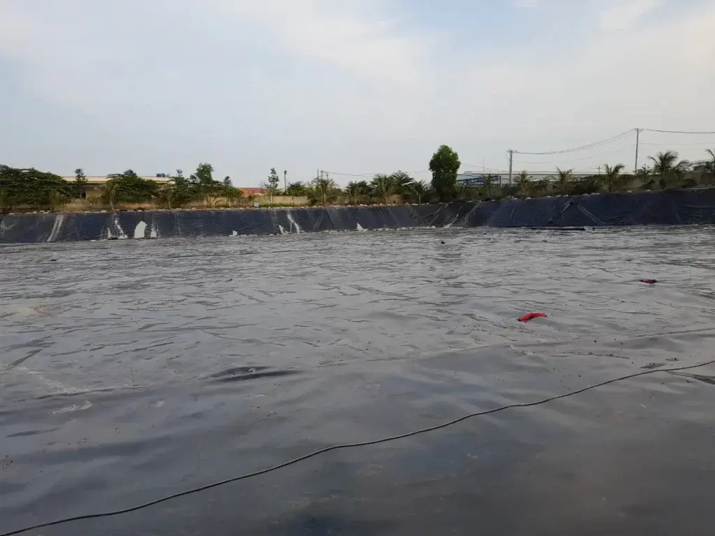 Màng chống thấm HDPE giá rẻ - Giải pháp tối ưu mọi nhà Màng chống thấm HDPE giá rẻ - Giải pháp tối ưu mọi nhà