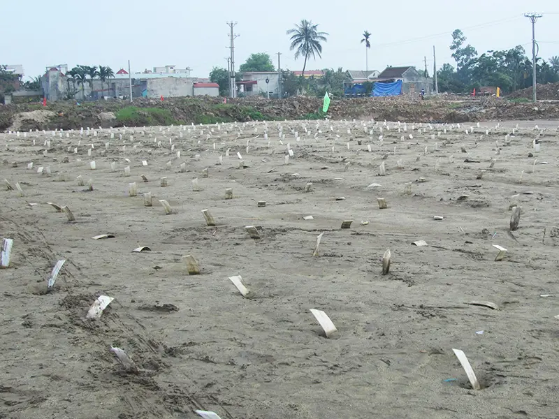 Thi Công Bấc Thấm Hút Chân Không - Giải Pháp Nền Móng Mới Thi Công Bấc Thấm Hút Chân Không - Giải Pháp Nền Móng Mới