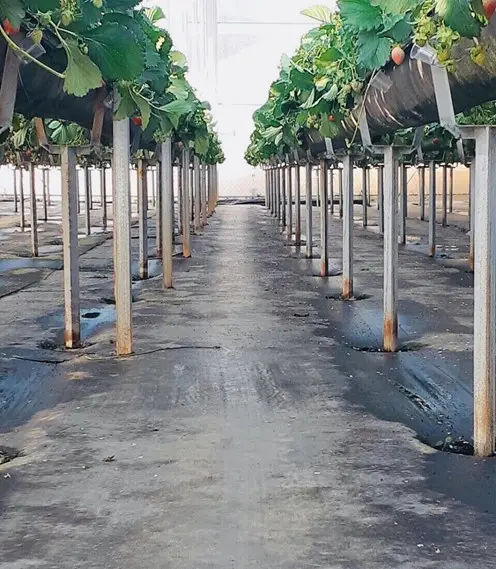Vải Bạt Địa Kỹ Thuật - Giải Pháp Xanh Cho Tương Lai Vải Bạt Địa Kỹ Thuật - Giải Pháp Xanh Cho Tương Lai