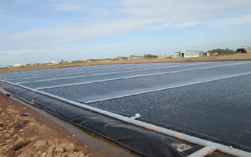 Màng Chống Thấm HDPE Dày 0.5mm - Giải Pháp Toàn Diện Cho Mọi Công Trình Màng Chống Thấm HDPE Dày 0.5mm - Giải Pháp Toàn Diện Cho Mọi Công Trình