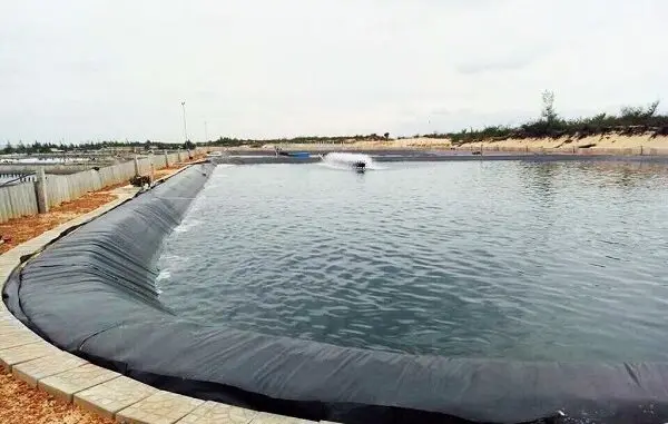 Giá màng HDPE dày 1mm - Bí Quyết Chọn Lựa Cho Mọi Công Trình