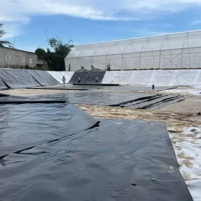 Màng HDPE Dày 2mm - Lá Chắn Vững Chắc Cho Mọi Công Trình Màng HDPE Dày 2mm - Lá Chắn Vững Chắc Cho Mọi Công Trình