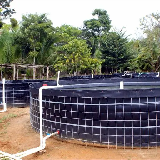 Bể Bạt HDPE Tròn - Cuộc Cách Mạng Mới Trong Nuôi Trồng Thủy Sản Hiện Đại Bể Bạt HDPE Tròn - Cuộc Cách Mạng Mới Trong Nuôi Trồng Thủy Sản Hiện Đại