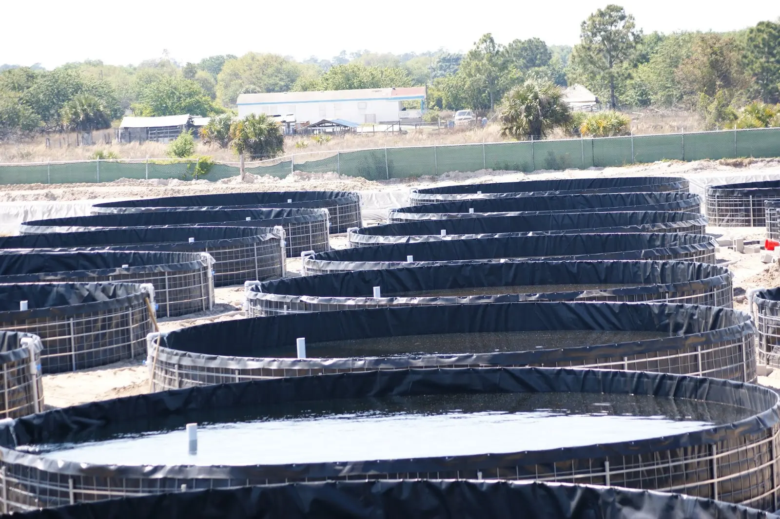 Bể Bạt HDPE Tròn - Cuộc Cách Mạng Mới Trong Nuôi Trồng Thủy Sản Hiện Đại Bể Bạt HDPE Tròn - Cuộc Cách Mạng Mới Trong Nuôi Trồng Thủy Sản Hiện Đại