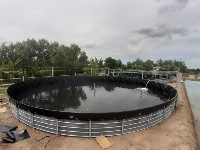 Bể Bạt HDPE Tròn - Cuộc Cách Mạng Mới Trong Nuôi Trồng Thủy Sản Hiện Đại Bể Bạt HDPE Tròn - Cuộc Cách Mạng Mới Trong Nuôi Trồng Thủy Sản Hiện Đại