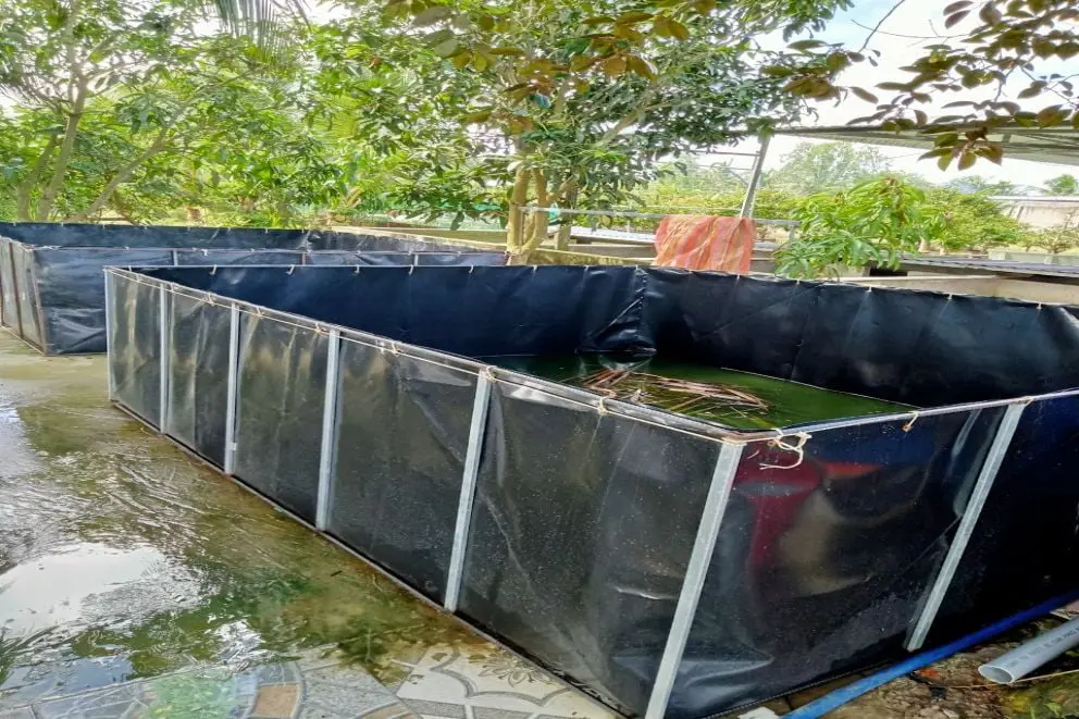 Bể Bạt HDPE Nuôi Cá - Giải Pháp Vàng Cho Ngành Thủy Sản Việt Bể Bạt HDPE Nuôi Cá - Giải Pháp Vàng Cho Ngành Thủy Sản Việt