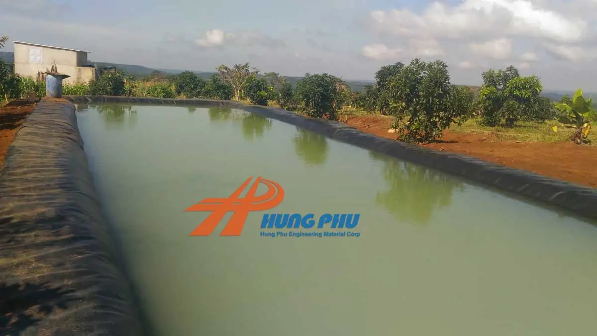 Màng HDPE Solmax - Lá Chắn Vững Chãi Cho Mọi Công Trình Màng HDPE Solmax - Lá Chắn Vững Chãi Cho Mọi Công Trình