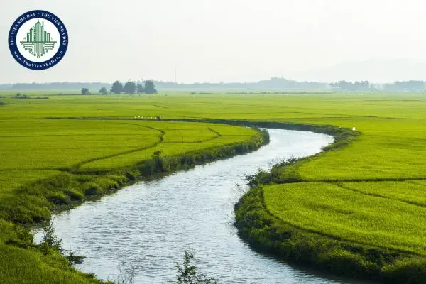 Đê Điều Là Gì - Lá Chắn An Toàn Trước Biến Đổi Khí Hậu