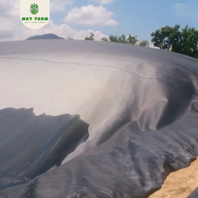 Giá Hầm Biogas HDPE - Tiết Kiệm, Bền Vững Cho Tương Lai Xanh Giá Hầm Biogas HDPE - Tiết Kiệm, Bền Vững Cho Tương Lai Xanh