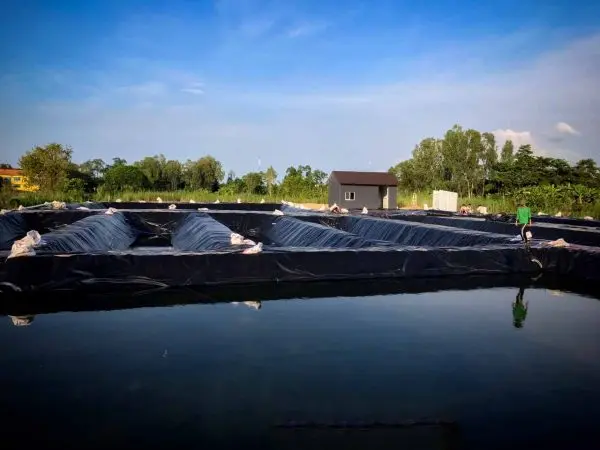 Giá Bán Bạt Nhựa HDPE - Bí Quyết Chọn Lựa Thông Minh Cho Mọi Công Trình Giá Bán Bạt Nhựa HDPE - Bí Quyết Chọn Lựa Thông Minh Cho Mọi Công Trình