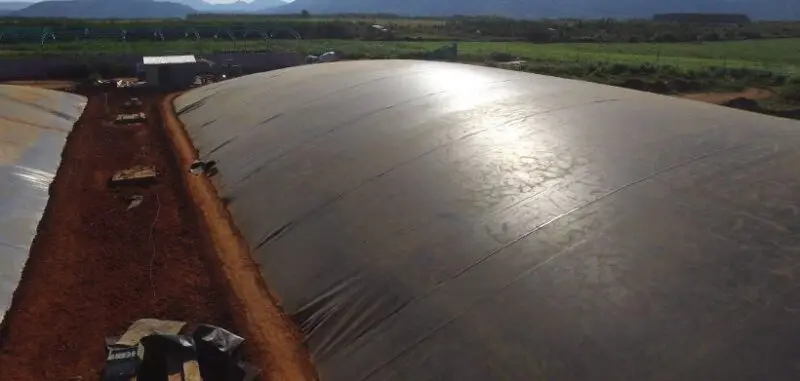 Hầm biogas phủ bạt HDPE: Giải pháp hiệu quả cho xử lý chất thải và năng lượng tái tạo Hầm Biogas HDPE - Biến Chất Thải Thành Vàng, Xanh Hóa Nông Nghiệp