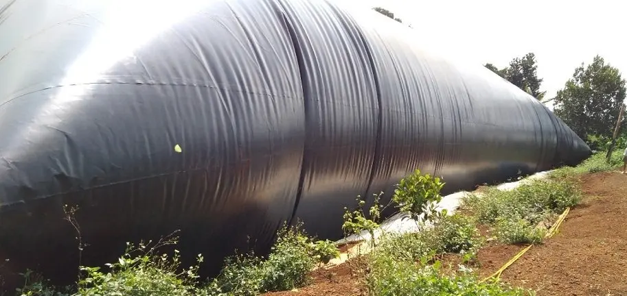 Hầm biogas phủ bạt HDPE: Giải pháp hiệu quả cho xử lý chất thải và năng lượng tái tạo Hầm Biogas HDPE - Biến Chất Thải Thành Vàng, Xanh Hóa Nông Nghiệp
