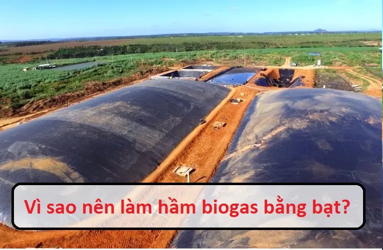 Hầm biogas phủ bạt HDPE: Giải pháp hiệu quả cho xử lý chất thải và năng lượng tái tạo Hầm Biogas HDPE - Biến Chất Thải Thành Vàng, Xanh Hóa Nông Nghiệp