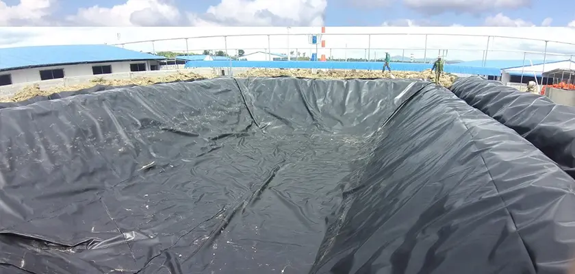 Hầm biogas phủ bạt HDPE: Giải pháp hiệu quả cho xử lý chất thải và năng lượng tái tạo Hầm Biogas HDPE - Biến Chất Thải Thành Vàng, Xanh Hóa Nông Nghiệp