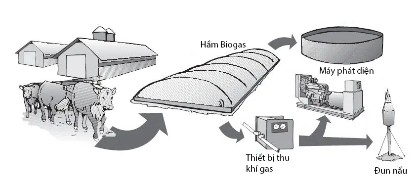 Mô Hình Hầm Biogas - Giải Pháp Xanh Cho Nông Nghiệp Bền Vững Mô Hình Hầm Biogas - Giải Pháp Xanh Cho Nông Nghiệp Bền Vững