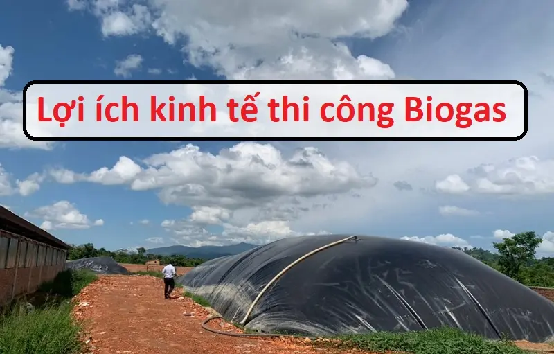 Bể Biogas - Năng Lượng Xanh Từ Chất Thải - Tương Lai Bền Vững Bể Biogas - Năng Lượng Xanh Từ Chất Thải - Tương Lai Bền Vững