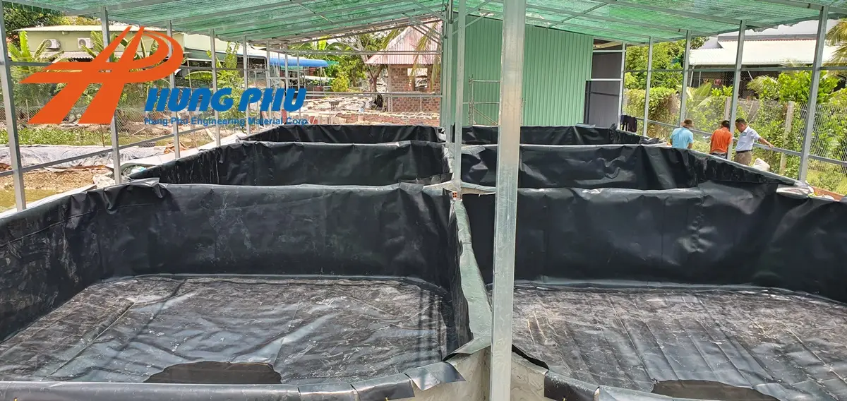 Bạt lót ao cá - Giải pháp tối ưu cho nuôi trồng thủy sản