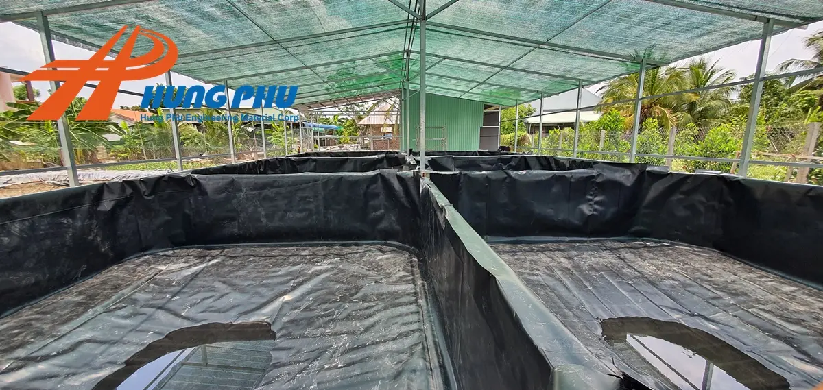 Bạt lót ao cá - Giải pháp tối ưu cho nuôi trồng thủy sản