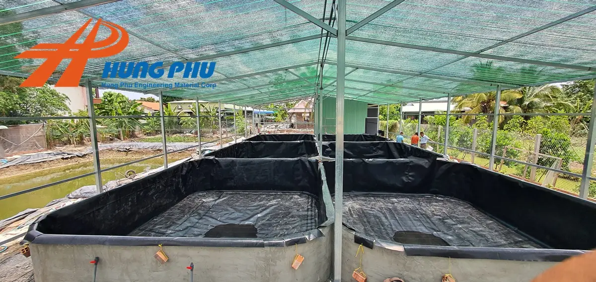 Bạt lót ao cá - Giải pháp tối ưu cho nuôi trồng thủy sản