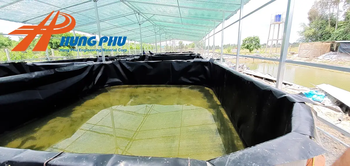 Bạt lót ao cá - Giải pháp tối ưu cho nuôi trồng thủy sản