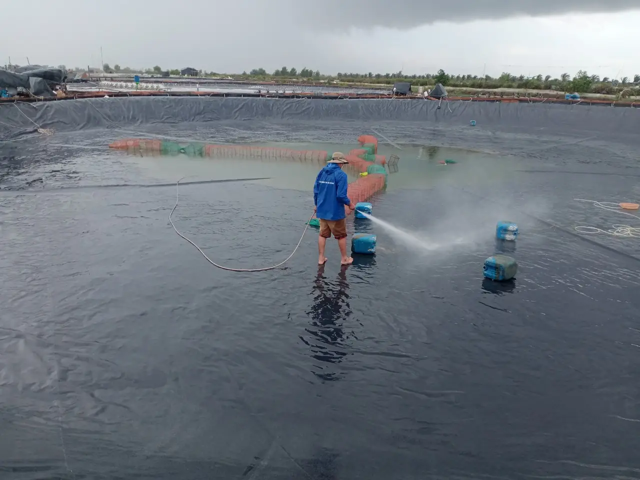 Giá Bạt Lót Hồ Tôm: Những Yếu Tố Quyết Định