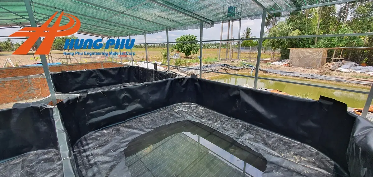 Lợi Ích Vượt Trội Khi Sử Dụng Bạt Lót Hồ Cá Koi Lợi Ích Vượt Trội Khi Sử Dụng Bạt Lót Hồ Cá Koi