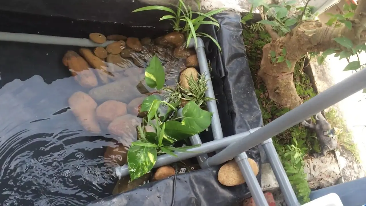 Lợi Ích Vượt Trội Khi Sử Dụng Bạt Lót Hồ Cá Koi Lợi Ích Vượt Trội Khi Sử Dụng Bạt Lót Hồ Cá Koi