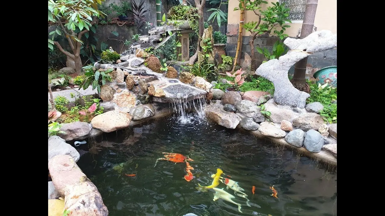 Lợi Ích Vượt Trội Khi Sử Dụng Bạt Lót Hồ Cá Koi Lợi Ích Vượt Trội Khi Sử Dụng Bạt Lót Hồ Cá Koi