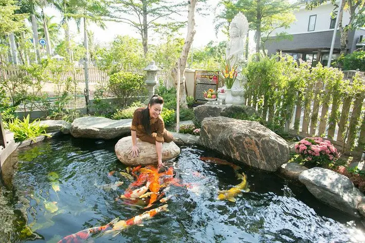 Lợi Ích Vượt Trội Khi Sử Dụng Bạt Lót Hồ Cá Koi Lợi Ích Vượt Trội Khi Sử Dụng Bạt Lót Hồ Cá Koi