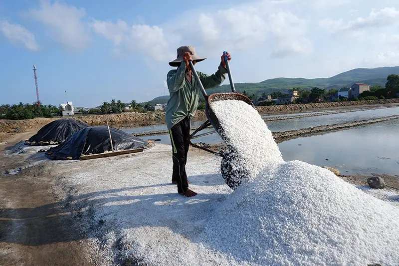Hướng dẫn chọn bạt lót phù hợp cho ruộng muối Hướng dẫn chọn bạt lót phù hợp cho ruộng muối