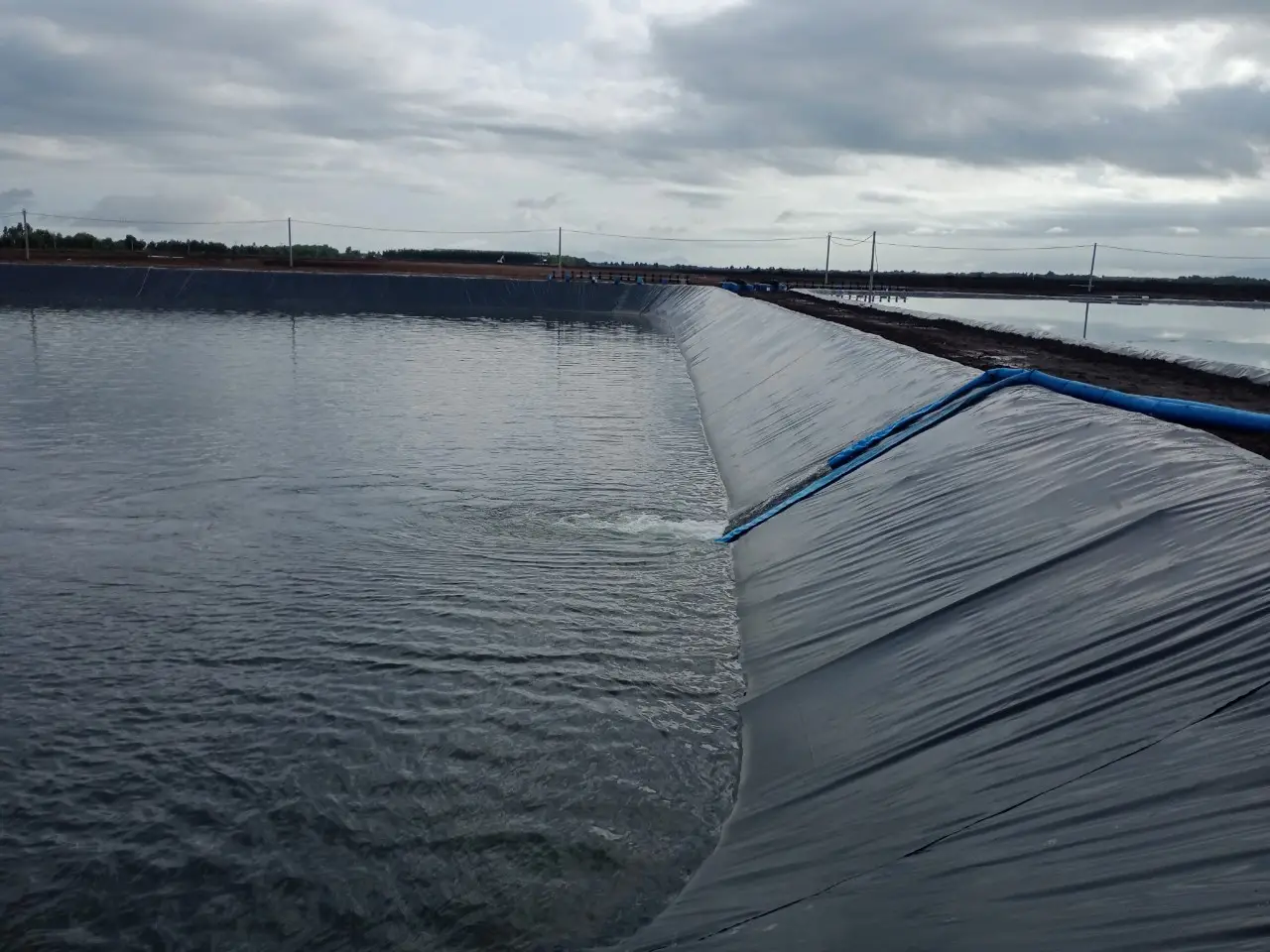 Bạt HDPE Lót Hồ Tôm - Giải Pháp Hiệu Quả Cho Nuôi Tôm Công Nghiệp