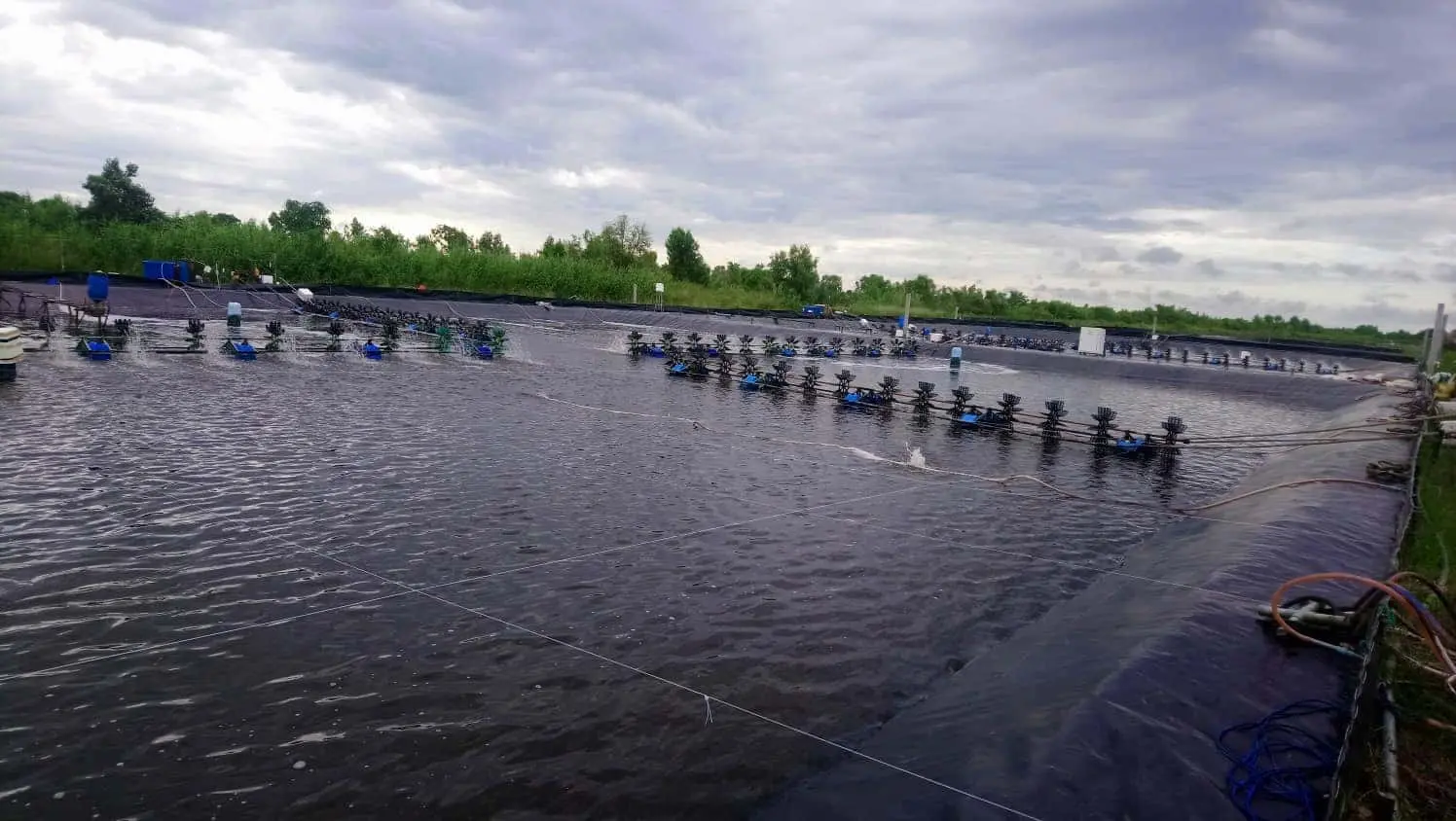 Chọn Giá Bạt Làm Hồ Cá Chuẩn - Bí Quyết Nuôi Cá Thành Công