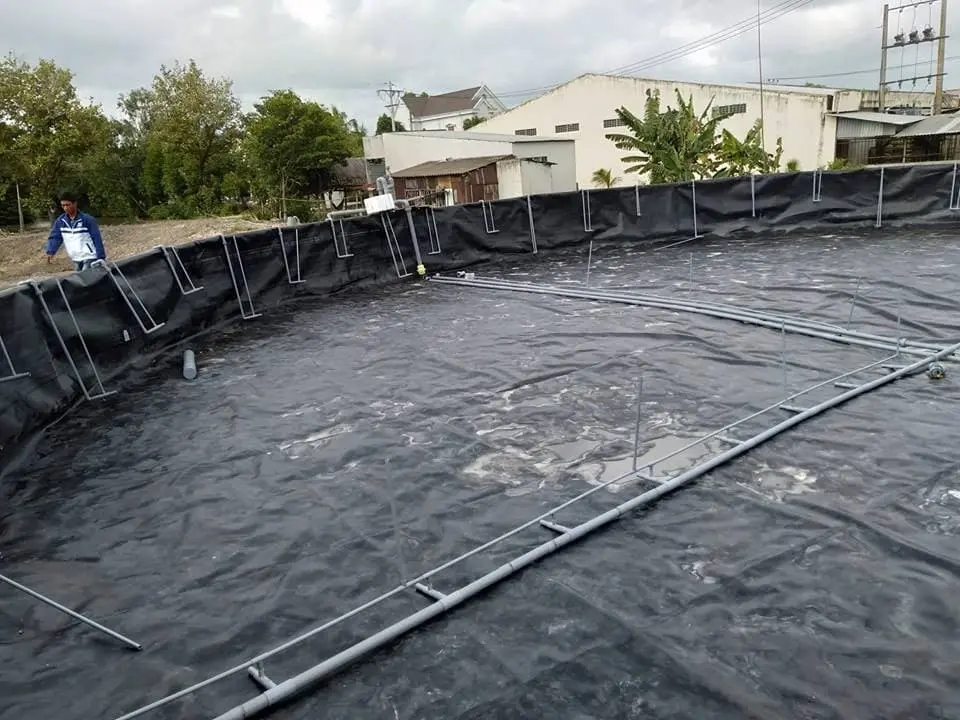 Chọn Giá Bạt Làm Hồ Cá Chuẩn - Bí Quyết Nuôi Cá Thành Công