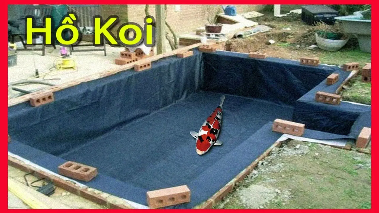 Cách Làm Hồ Cá Lót Bạt Đẹp - Bí Quyết & Hướng Dẫn Chi Tiết Cách Làm Hồ Cá Lót Bạt Đẹp - Bí Quyết Hướng Dẫn Chi Tiết