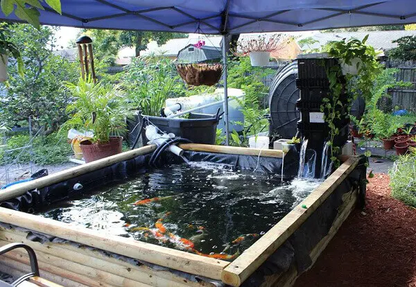 Cách Làm Hồ Cá Lót Bạt Đẹp - Bí Quyết & Hướng Dẫn Chi Tiết Cách Làm Hồ Cá Lót Bạt Đẹp - Bí Quyết Hướng Dẫn Chi Tiết